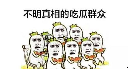 湖州第一吃瓜群众事件真相,真相背后的网络狂欢