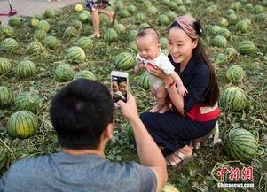 康县吃瓜群众,揭秘当地独特美食文化