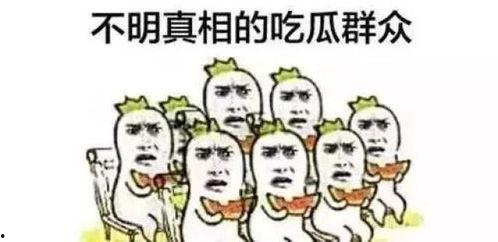 吃瓜群众文字抱枕,趣味横生的休闲伴侣
