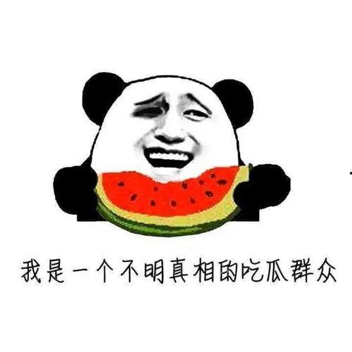 可以这样吃瓜群众,吃瓜群众视角下的社会百态
