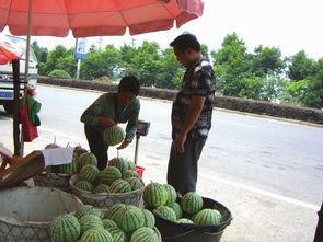 河南的几件事 吃瓜群众,从民生事件到社会现象的深度剖析