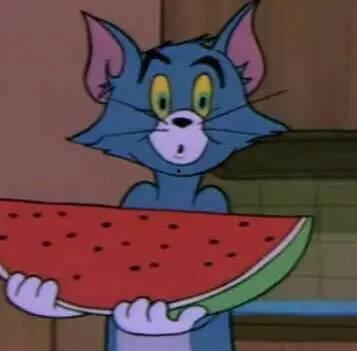 吃瓜群众怎么画沙雕,吃瓜群众如何描绘趣味横生的日常生活