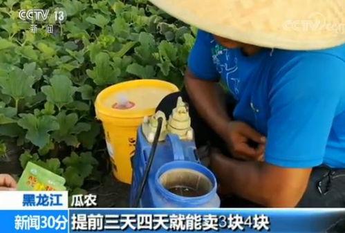 吃瓜群众演员嘎嘎嘎,吃瓜群众眼中的演员风采