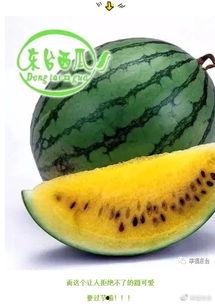 吃瓜群众请好好看,揭秘娱乐圈背后的真相