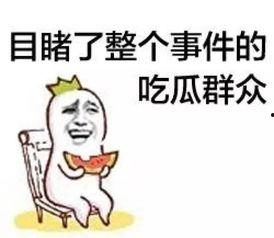 老狐狸吃瓜群众,揭秘娱乐圈幕后真相