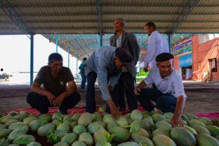 10月份吃瓜群众,年度瓜王争霸赛盘点