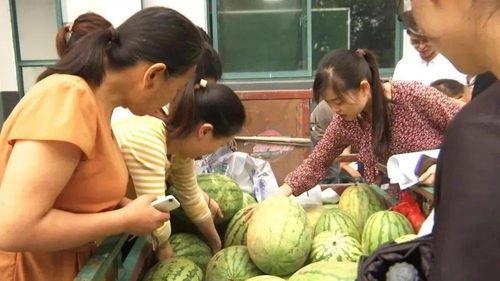 博山吃瓜群众事件视频,一场网络舆论的风暴与反思