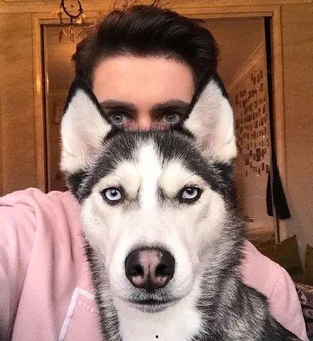 二哈吃瓜群众尬笑,围观群众尬笑连连