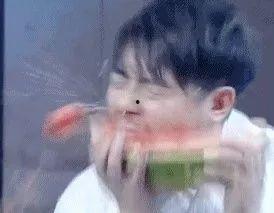 吃瓜群众猹猹,揭秘网络热议背后的真实故事