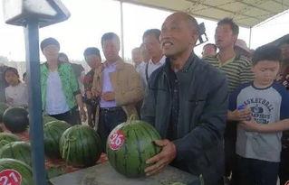 射阳吃瓜群众事件视频,一场网络舆论的风暴与反思