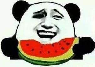 打扰了吃瓜群众,揭秘网络热议背后的真相与反思