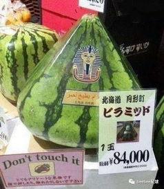 满世界吃瓜群众