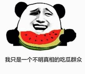 吃瓜群众喜欢的视频,趣味横生，笑料百出！