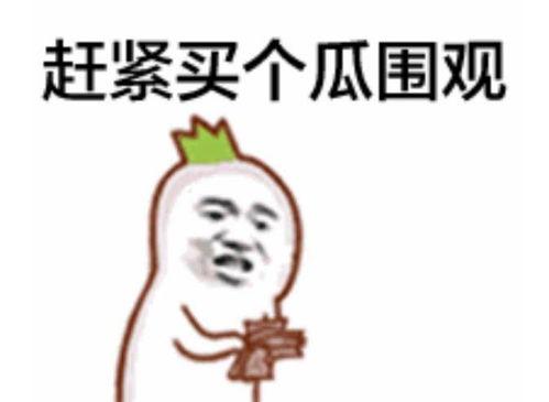 吃瓜群众不露脸下一句,不露脸背后的网络现象