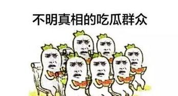 报告稿吃瓜群众,吃瓜群众视角下的热点事件深度剖析