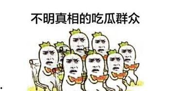 大陆人吃瓜群众,揭秘网络舆论场中的围观力量