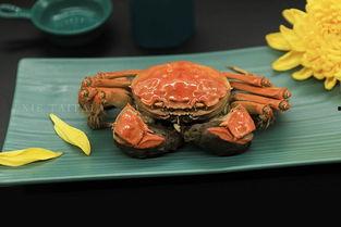 成为吃瓜群众大闸蟹的小说,一场美食与江湖的跨界传奇