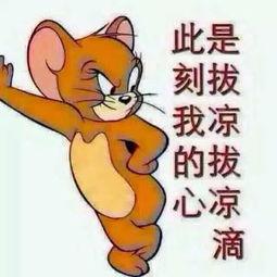 吃瓜群众喝酒的图片大全,吃瓜群众欢乐畅饮瞬间