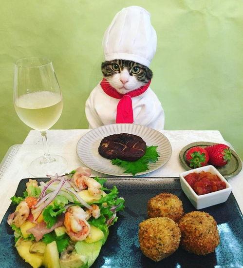 最后一名吃瓜群众视频