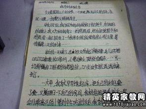 吃瓜群众的检讨书范文大全,反思与成长之路