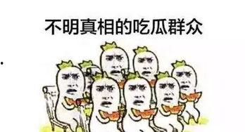 吃瓜群众看抖音,揭秘热门短视频背后的故事