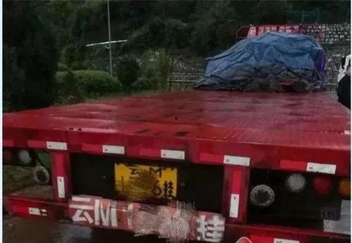 一连串的吃瓜群众追尾,一场全民围观的社会现象