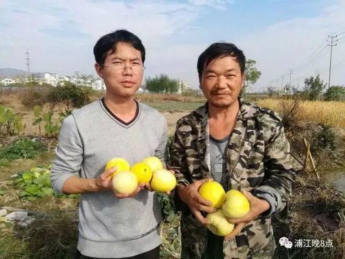 枫丹全员吃瓜群众,全员吃瓜群众热议热点事件