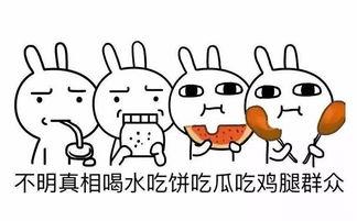 风趣的吃瓜群众是什么歌,揭秘流行歌曲背后的趣味故事