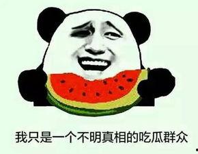 全网免费吃瓜群众