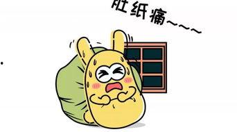 吃瓜群众套装
