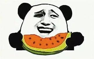 炸屏吃瓜群众视频真实