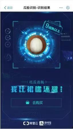 吃瓜群众星盘解析,星盘解析揭示性格命运之谜