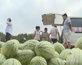 吃瓜群众15集完整版,揭秘娱乐圈风云变幻，揭秘明星幕后故事